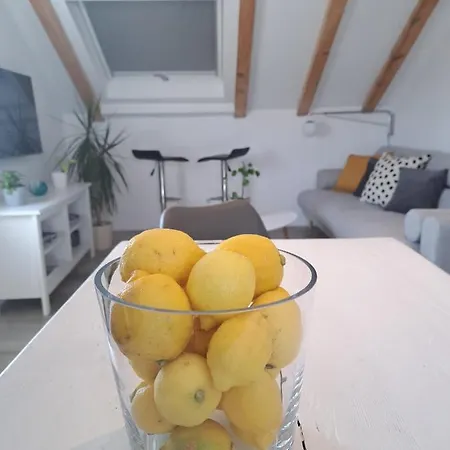 Kala Guest house 4*